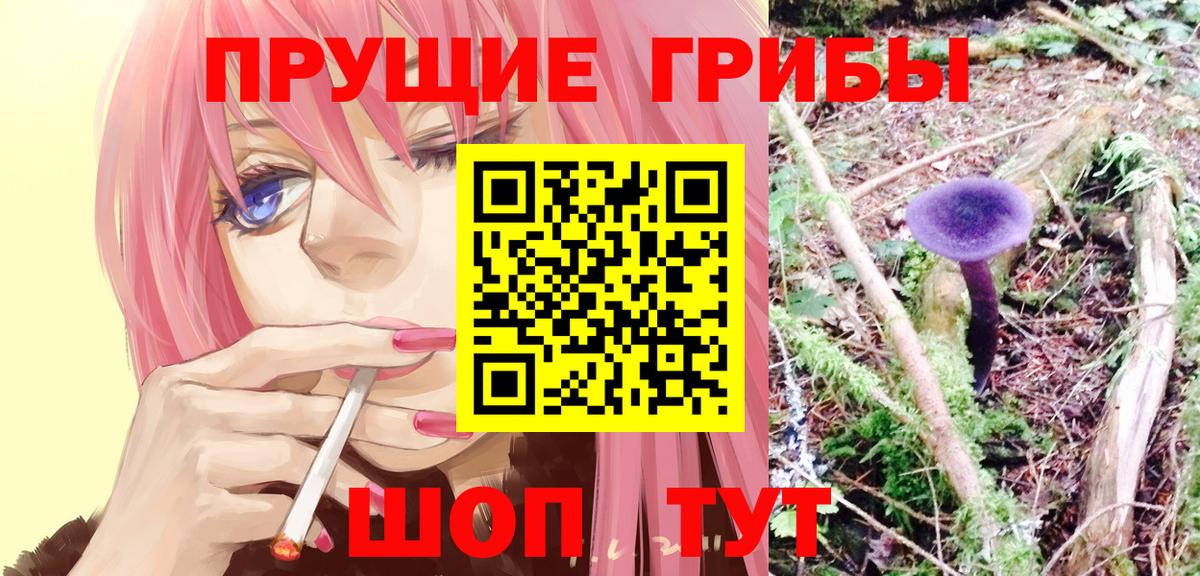 Острогожск  Псилоцибиновые грибы Psilocybe  Вход с VPN 